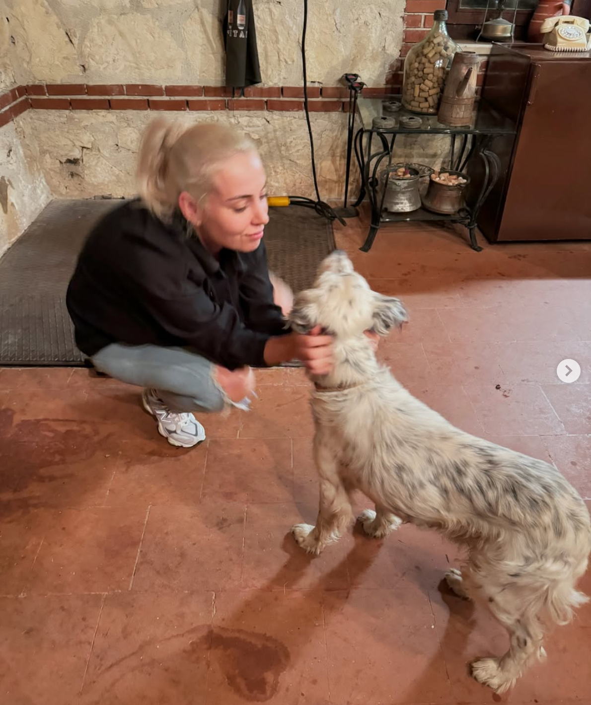 Aşı sırasında sakinleştirilen minik dost